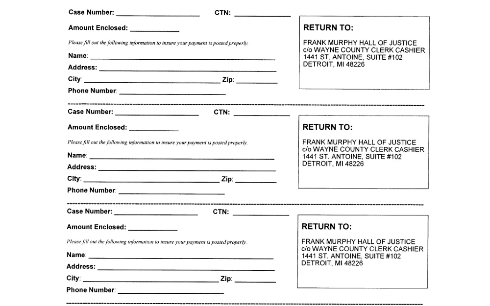 A screenshot displaying a criminal assessments payment slips requiring information such as case number, CTN, amount enclosed, name, address, city, phone number, ZIP code, phone number and others.